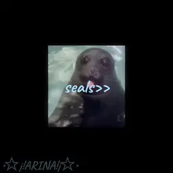 seals ^^