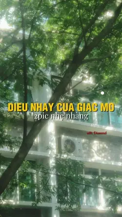Điệu nhảy của giấcmơ