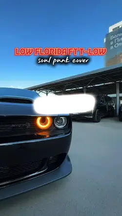Low florida car edit