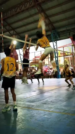 Volleyball highlight