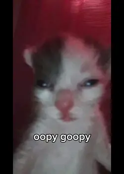 Dont mess w/ ma gang