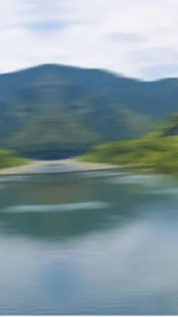 都市比較