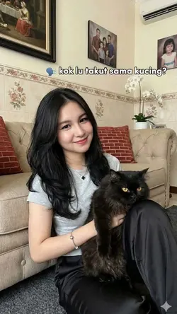 "kok lu takut kucing