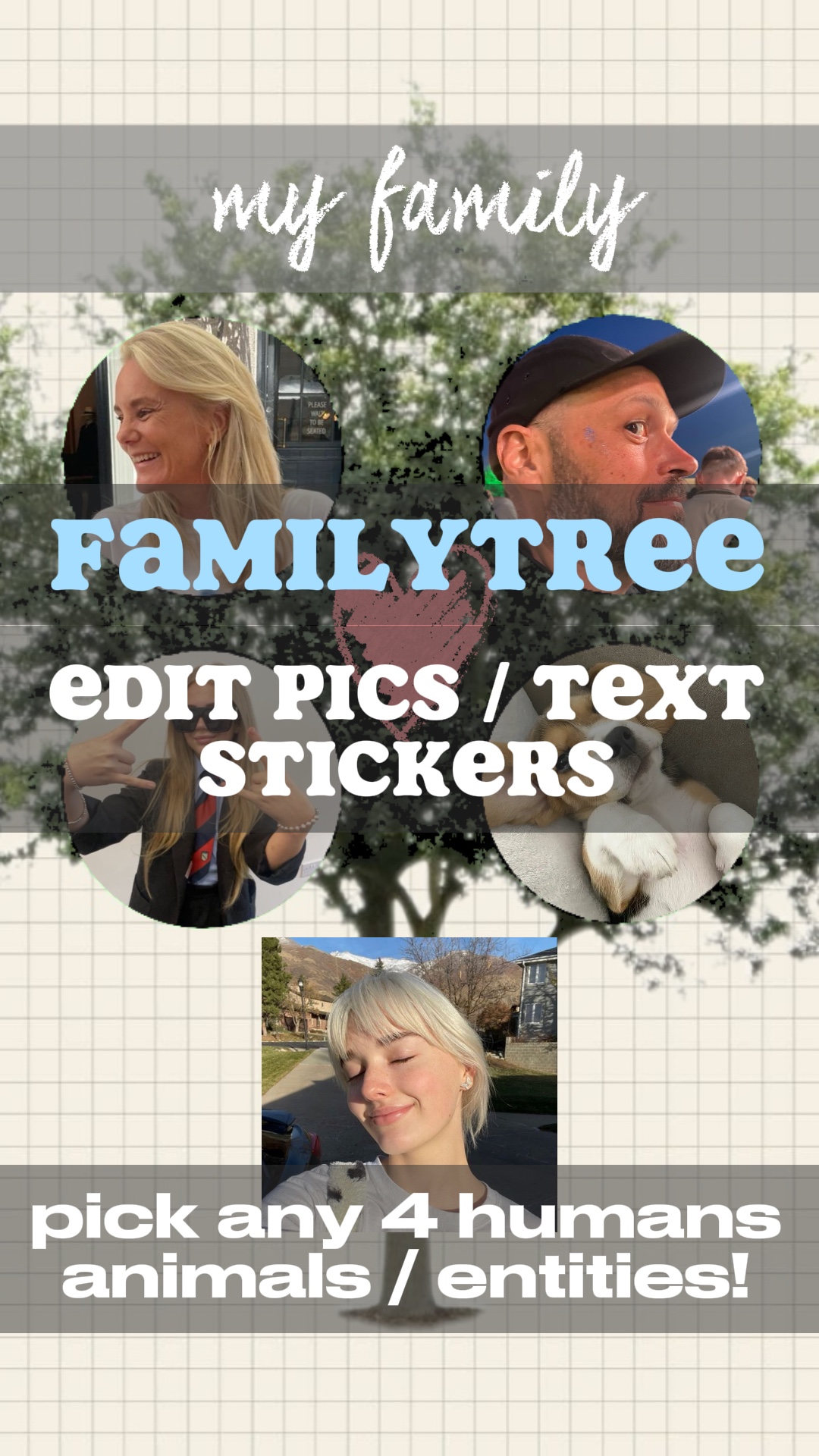 family tree 🌳