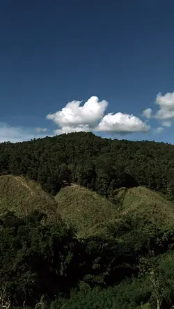 10 วิดีโอ 45 วินาที