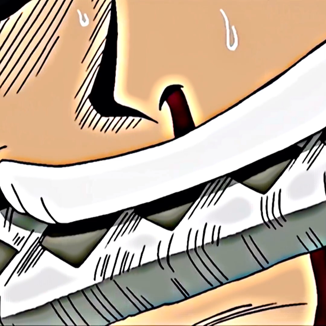 LA PROMESSE DE ZORO😍