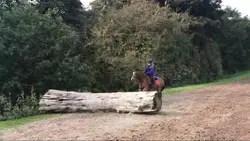 this pony was amazin