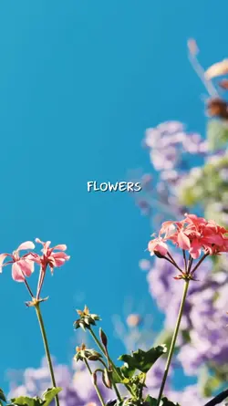Flowers