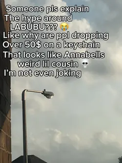these labubus..