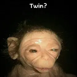 Twin monkey