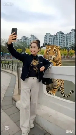 ai合影