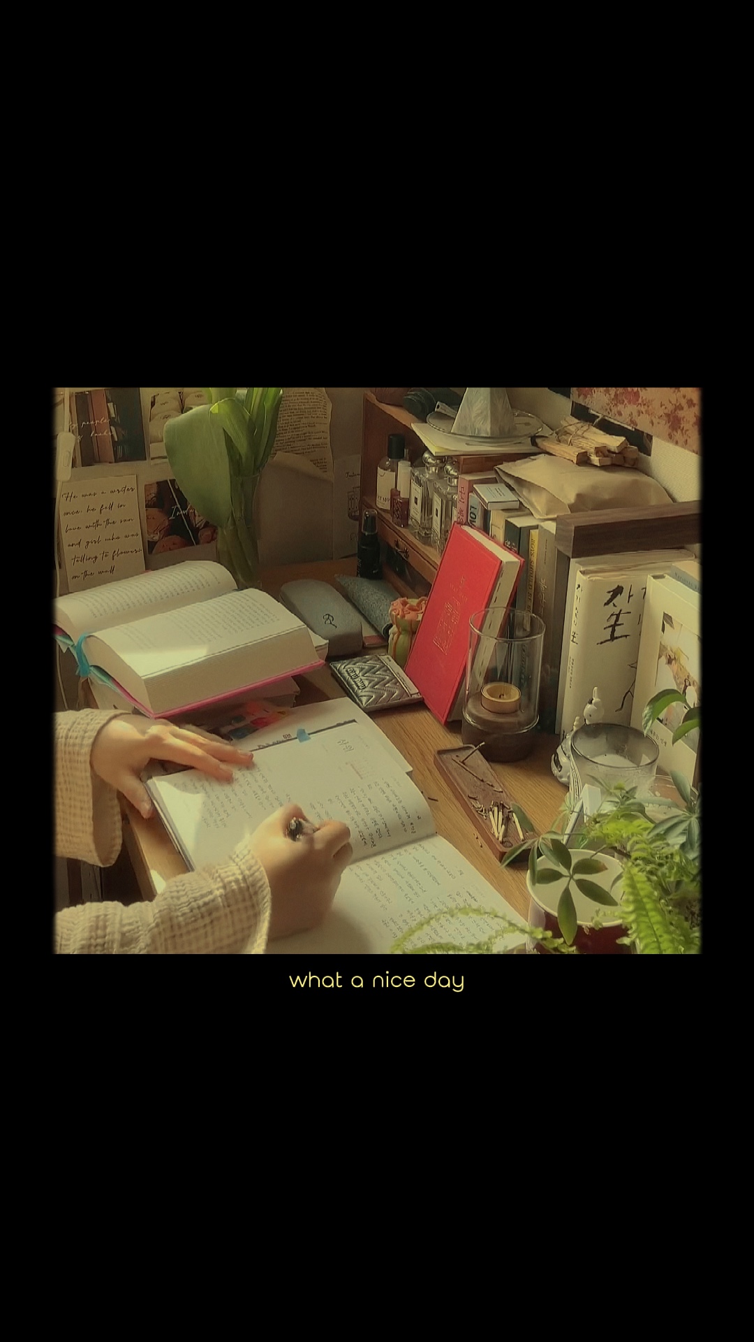 ✩ [20] videos film ✩