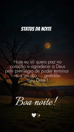 Boa noite 