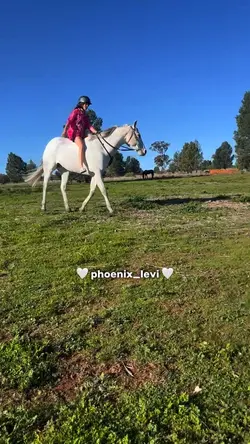 Phoenix_levi