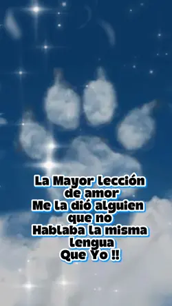 Perrito angel foto