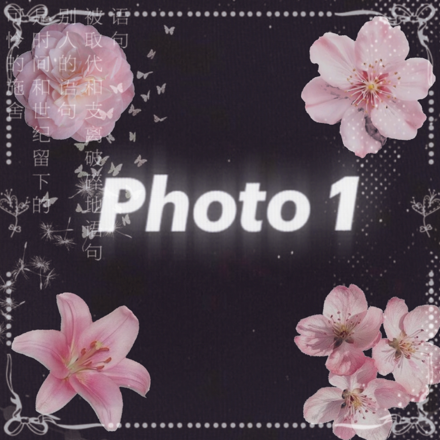 Cover Picture