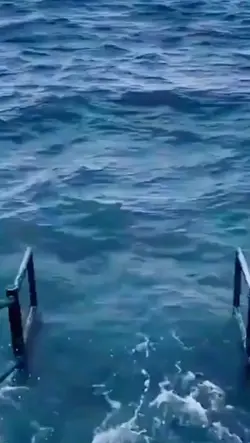 아 내 18800원ㅠㅠ