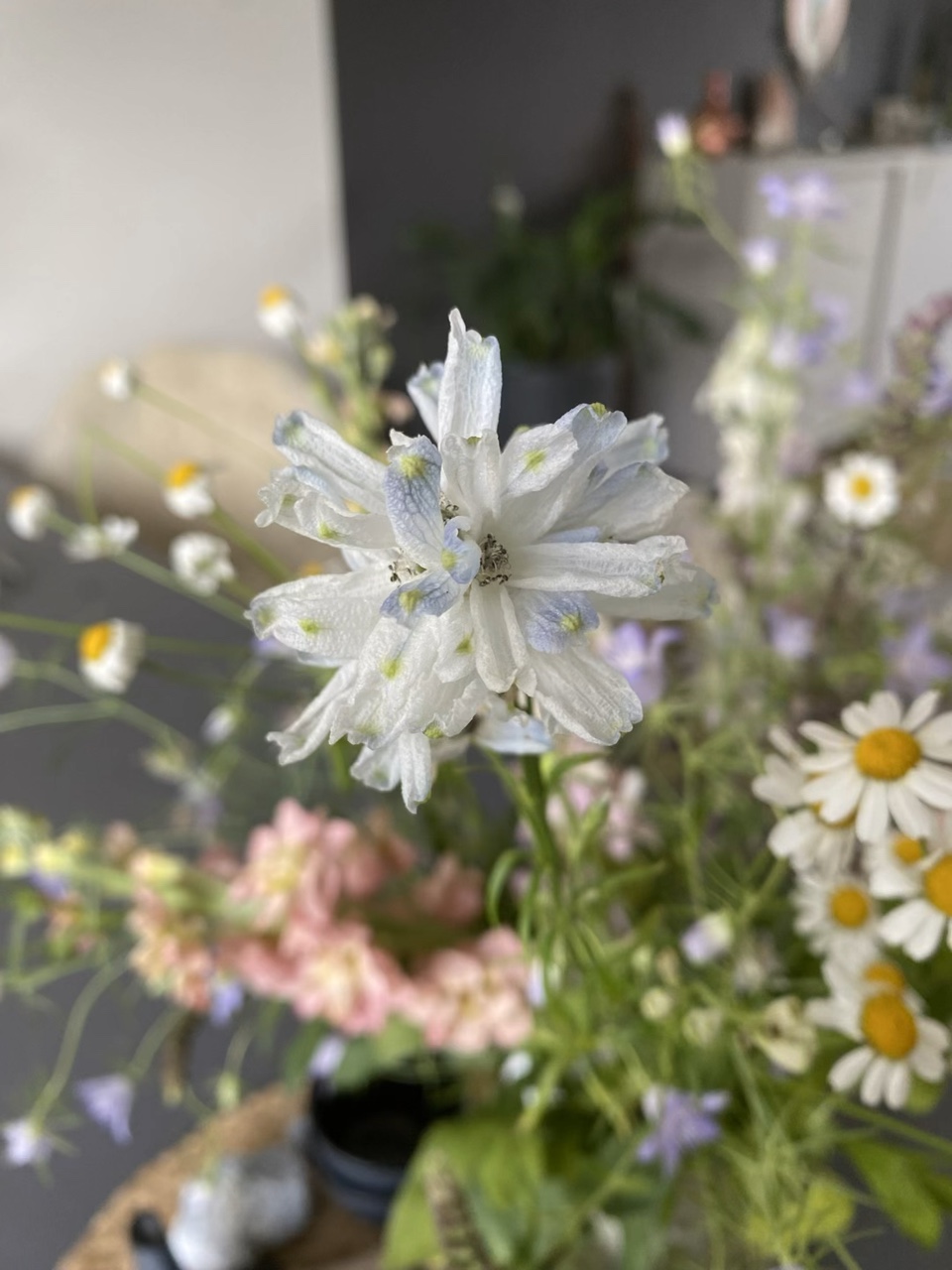 IT’S MY BIRTHDAY!!🥳🎉