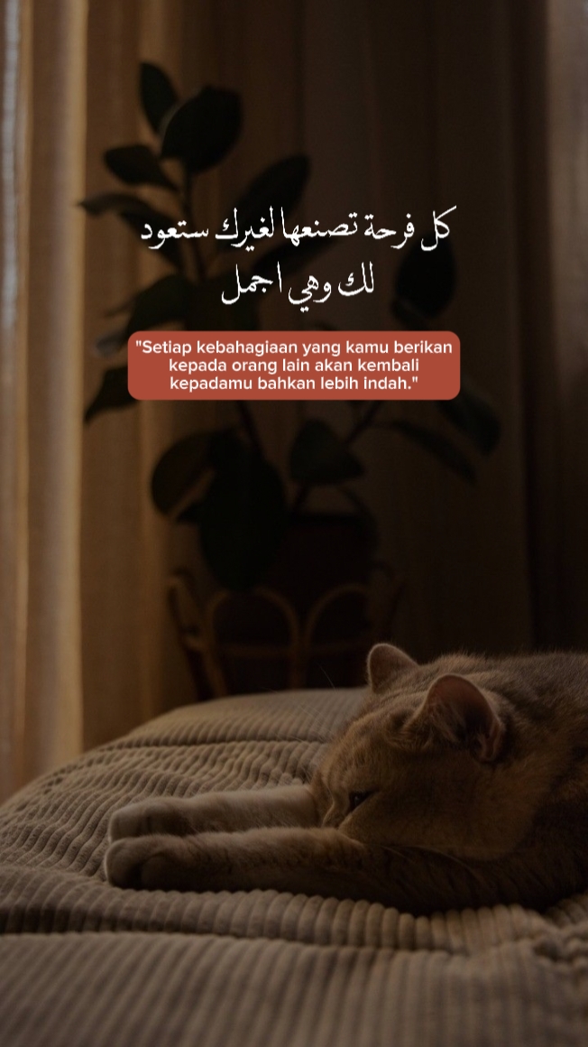 qoutes