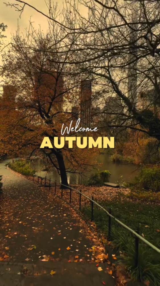 Autumn Dump 
