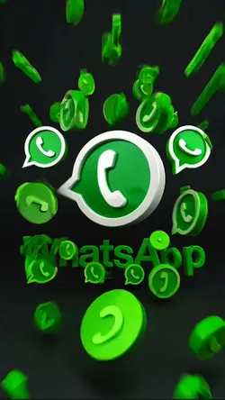 WhatsApp | Pro