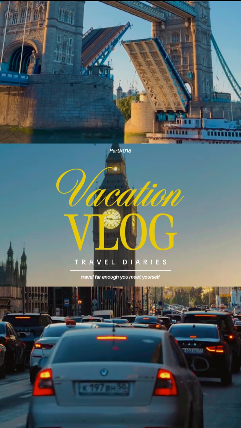 vlog mini