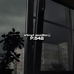 Vinyl audio p.544🎧