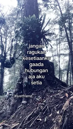 jangan ragukan