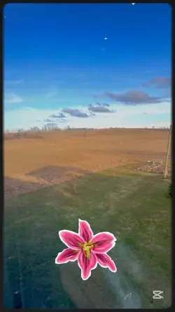 farm life