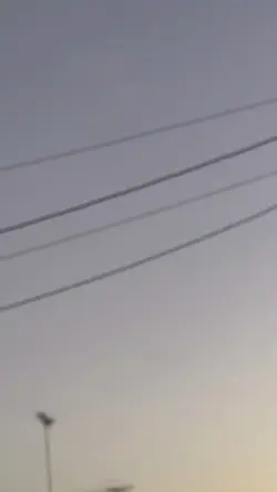 動画1本で夏の思い出