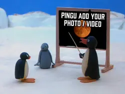 PINGU BLACKBOARD