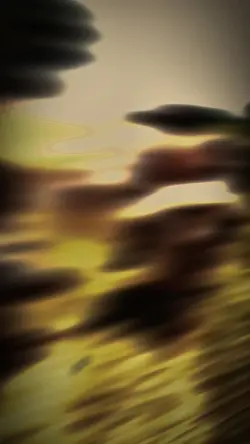 me leva pra casa 