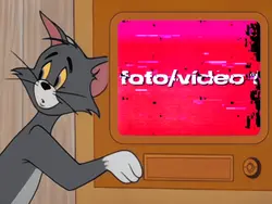gato assustado 