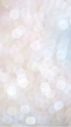 クリスマス5枚