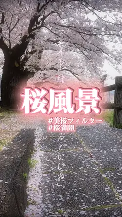 桜風景ꔛ来年も一緒に