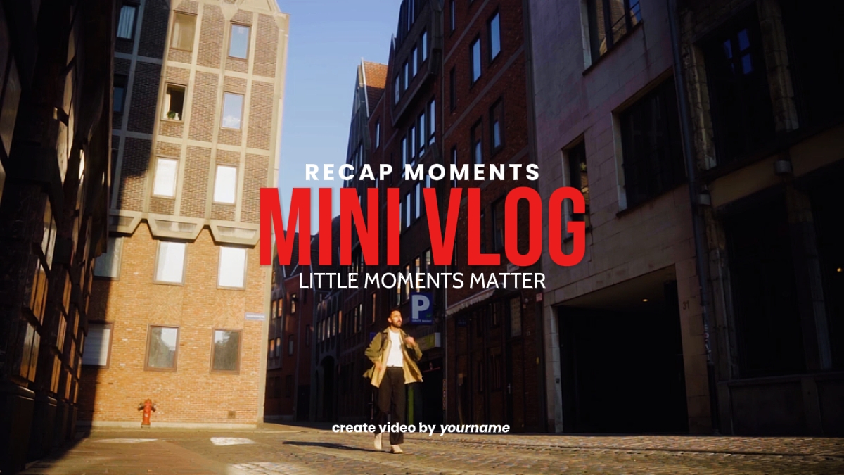 vlog mini