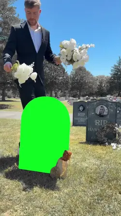 Trending good Edit