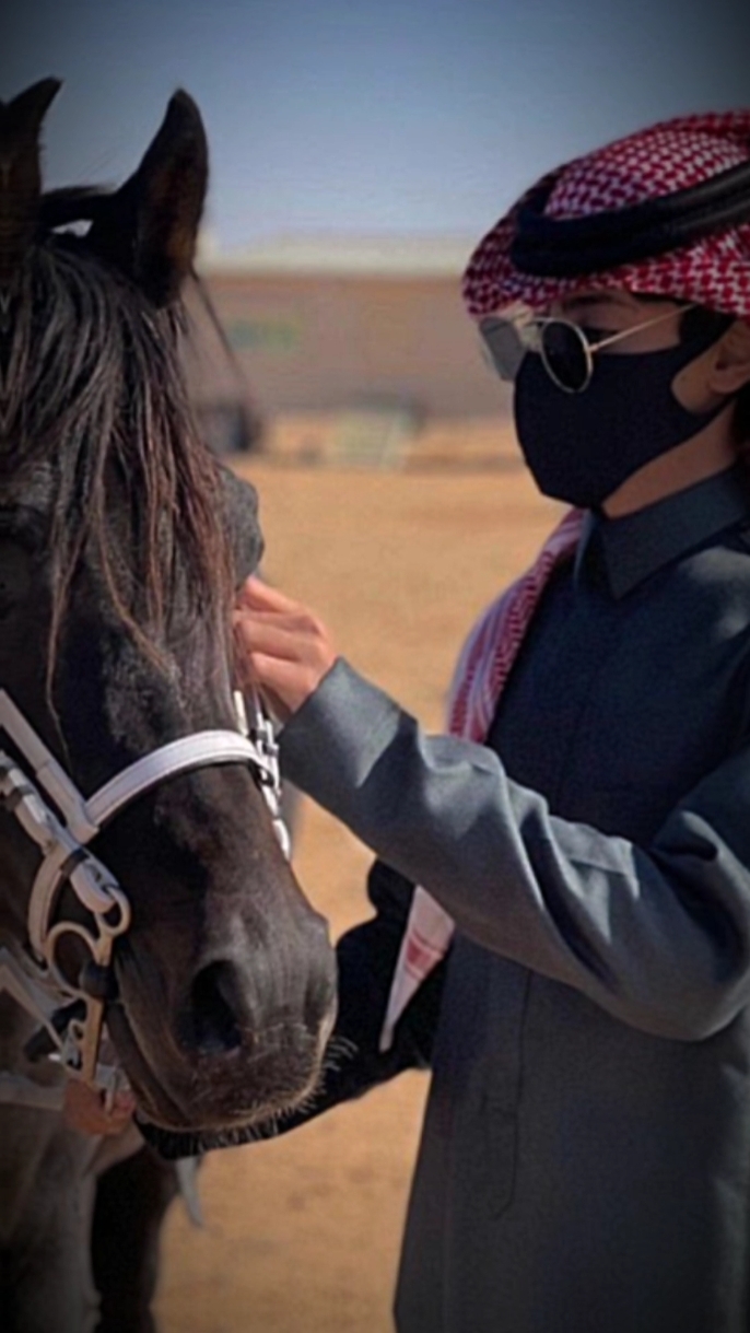 قالب جاهز مرتب