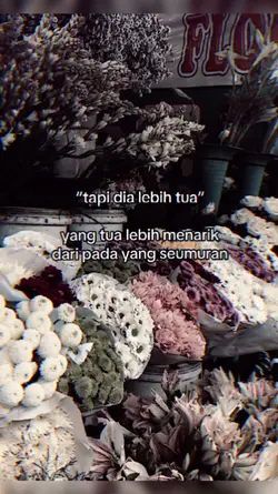 TAPI DIA LEBIH TUA