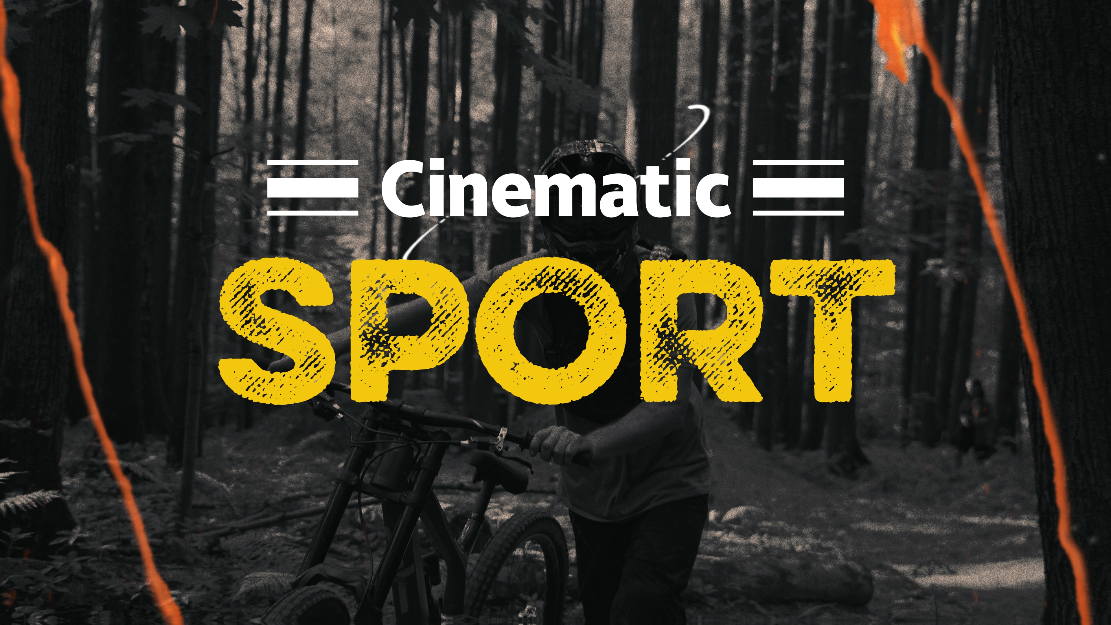 Sport Cinematic '11