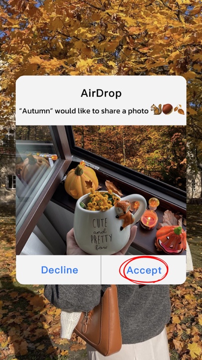 Autumn airdrop