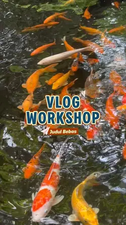 Vlog Workshop