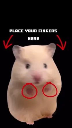 Funny hamster meme