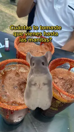 meme ratón 