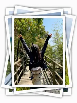 8Pic Aesthetic Frame