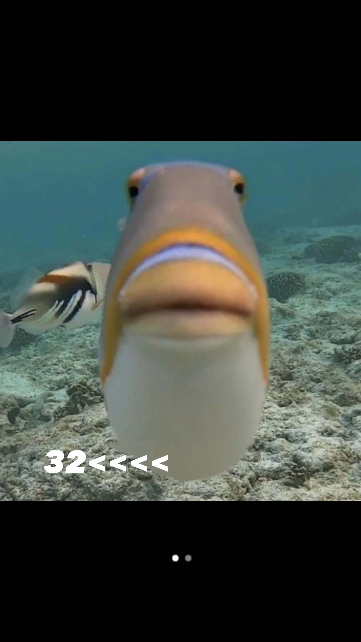 ส่วนสูงง 1รูปคับ