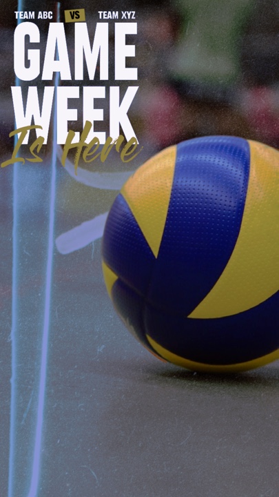 Voleibol