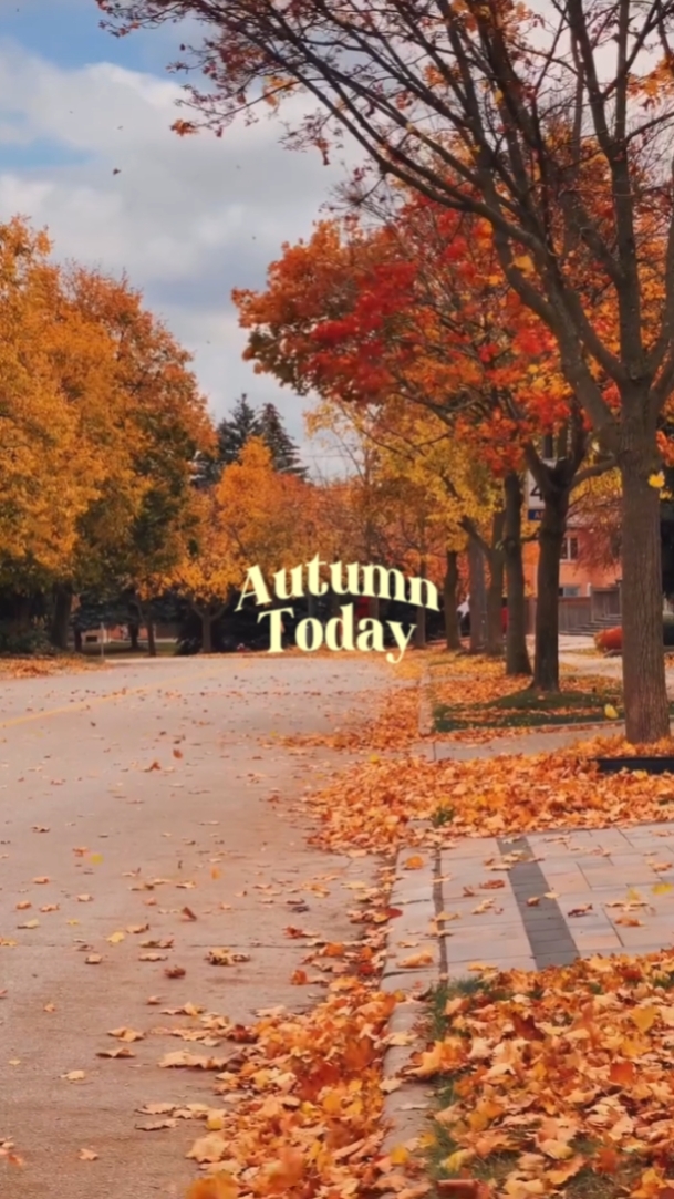 Autumn today