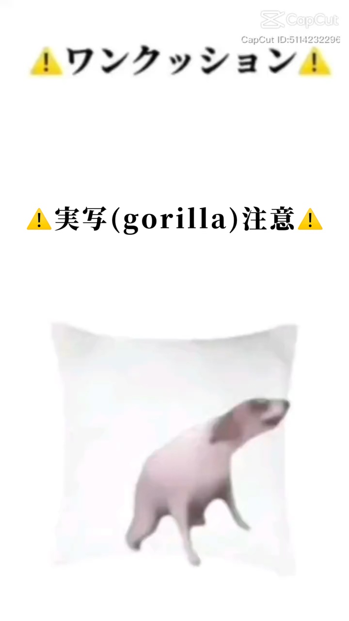 自作のやつᐡ ̫ ᐡ