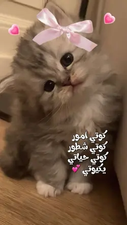 كوتي امور 💕✨